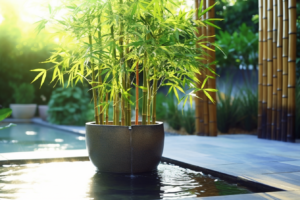 How Often to Water Bamboo